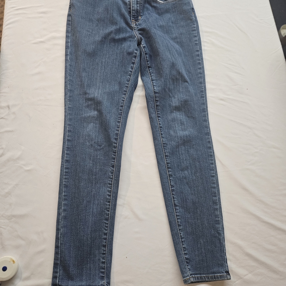 L.L. Bean Women's Jeans in Blue 6 Petite